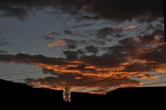 DSC_0802-2