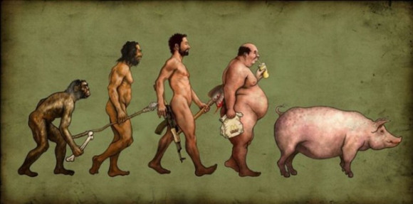 evolucao