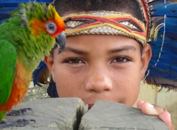 zbindiopapagaiotrancoso