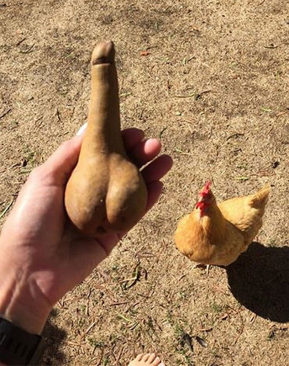 perafálica