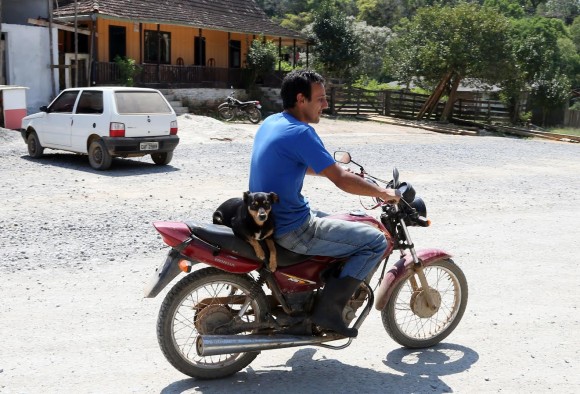 polacachorro