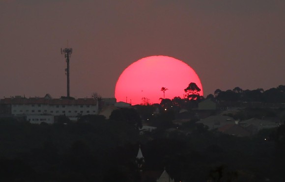 polacosolrosa