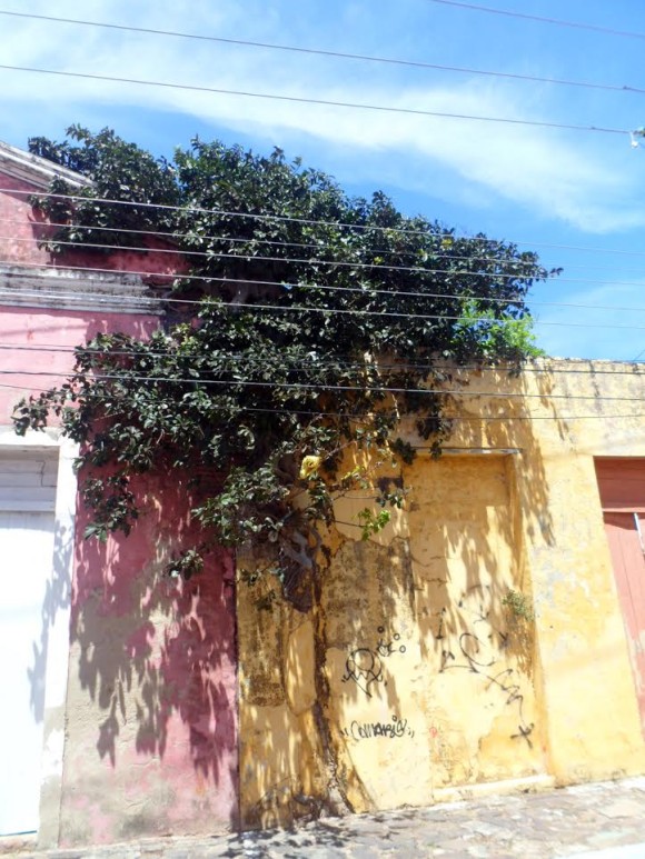 verasoldaparnaiba