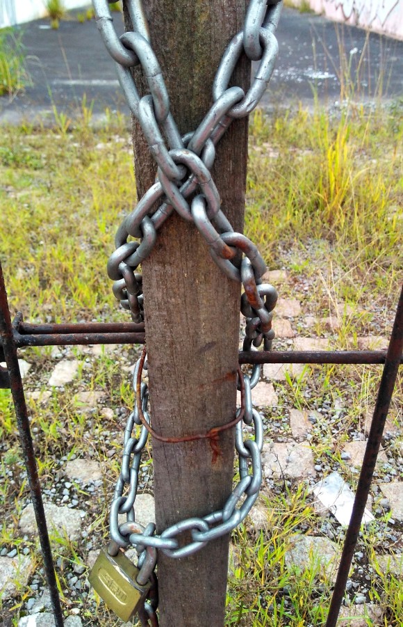 zbasfaltoselvagem.jpg1
