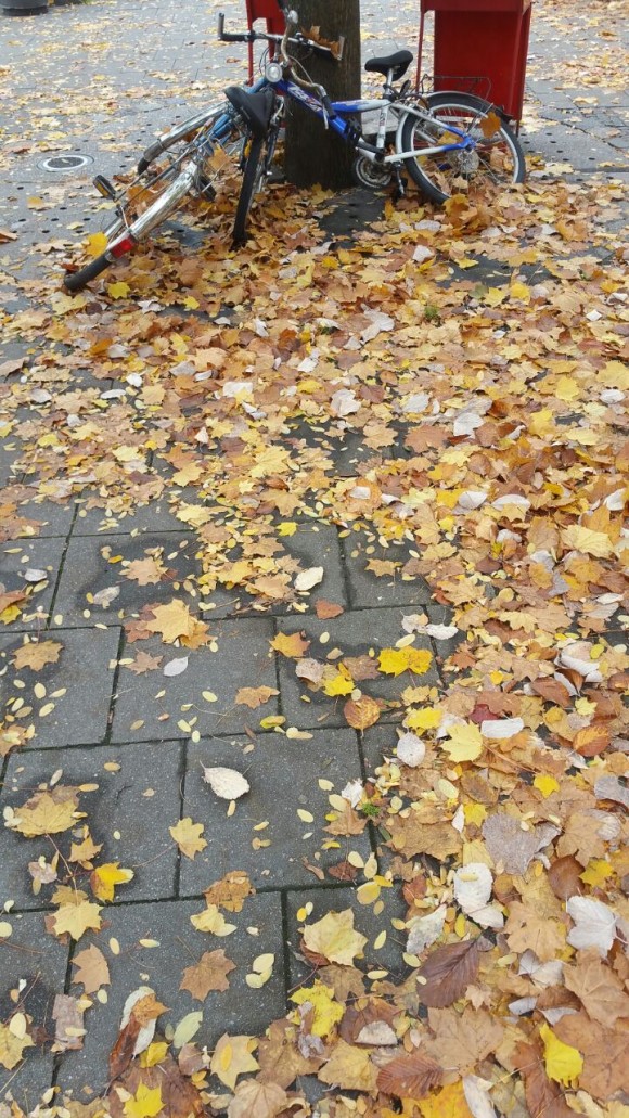 IMG-20171022-WA0002 (1)