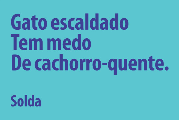gato-escaldado