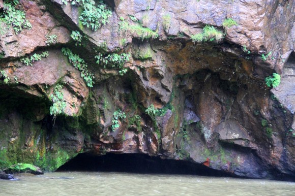 zburacolagopedra