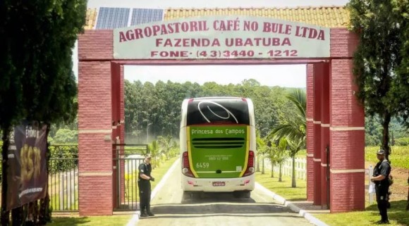 cafénobule