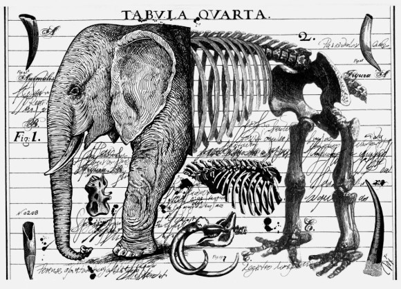 MIRANILUSTRACOMCOLAGEMEDITORIALA