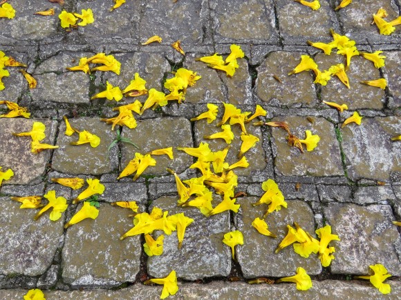 image1(1)