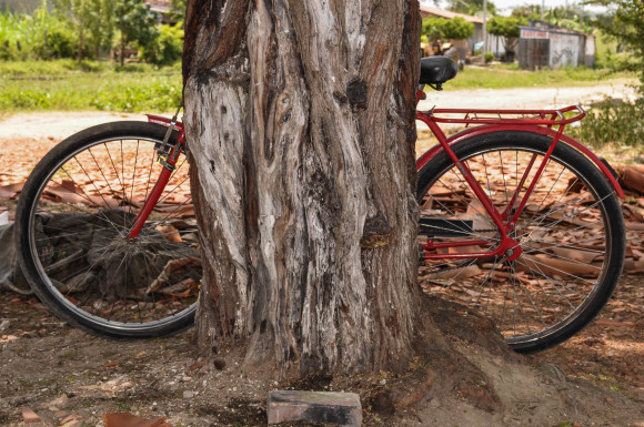 ricobicicleta