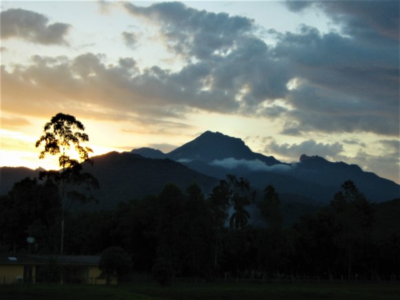 ricomarumbi