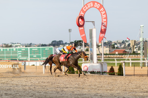 Maringas Maciel-2725 copy (1)