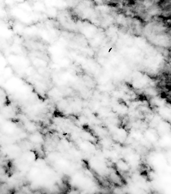 IMG_0278