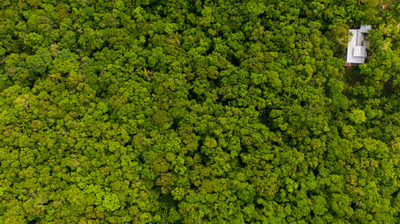 Maringas Maciel-0477 copy