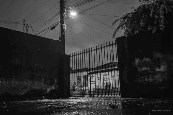 DSC_0513 (2)